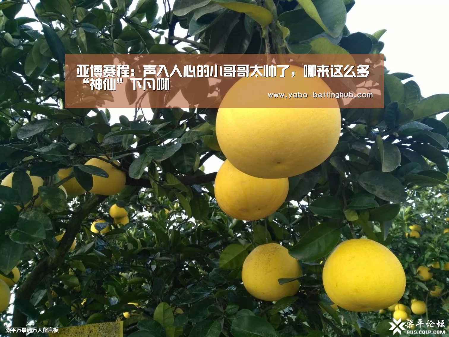 亚博赛程:声入人心的小哥哥太帅了,哪来这么多“神仙”下凡啊(图2) 亚博赛程