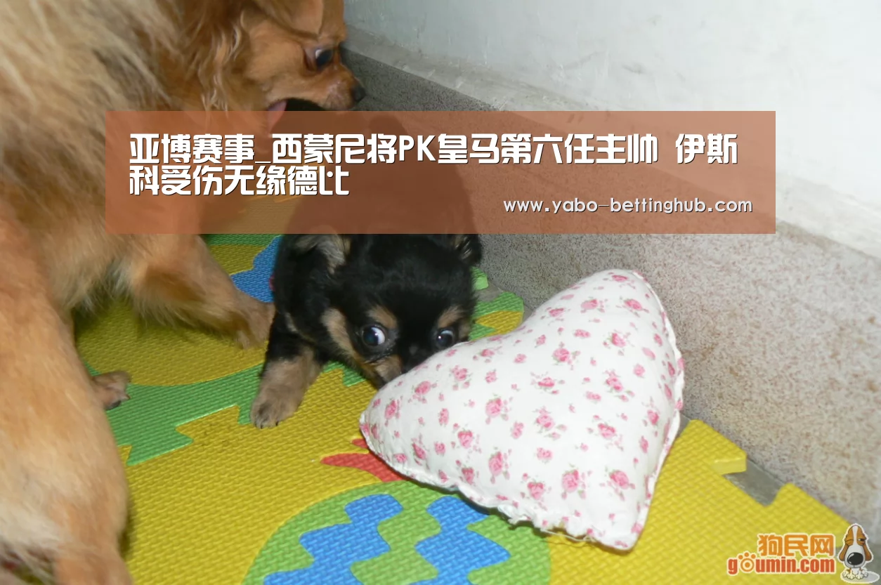 亚博赛事_西蒙尼将PK皇马第六任主帅 伊斯科受伤无缘德比(图1) 亚博官方