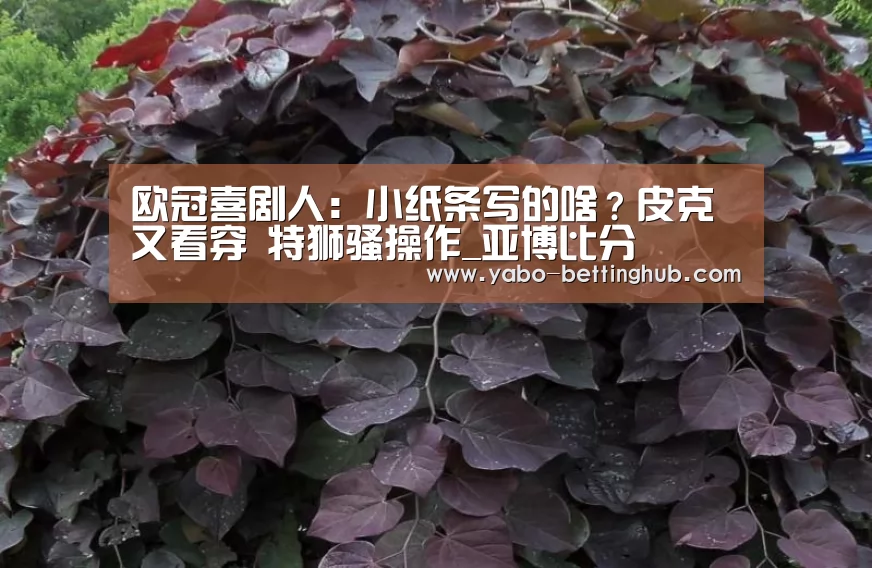 欧冠喜剧人:小纸条写的啥?皮克又看穿 特狮骚操作_亚博比分(图3) 亚博赛程